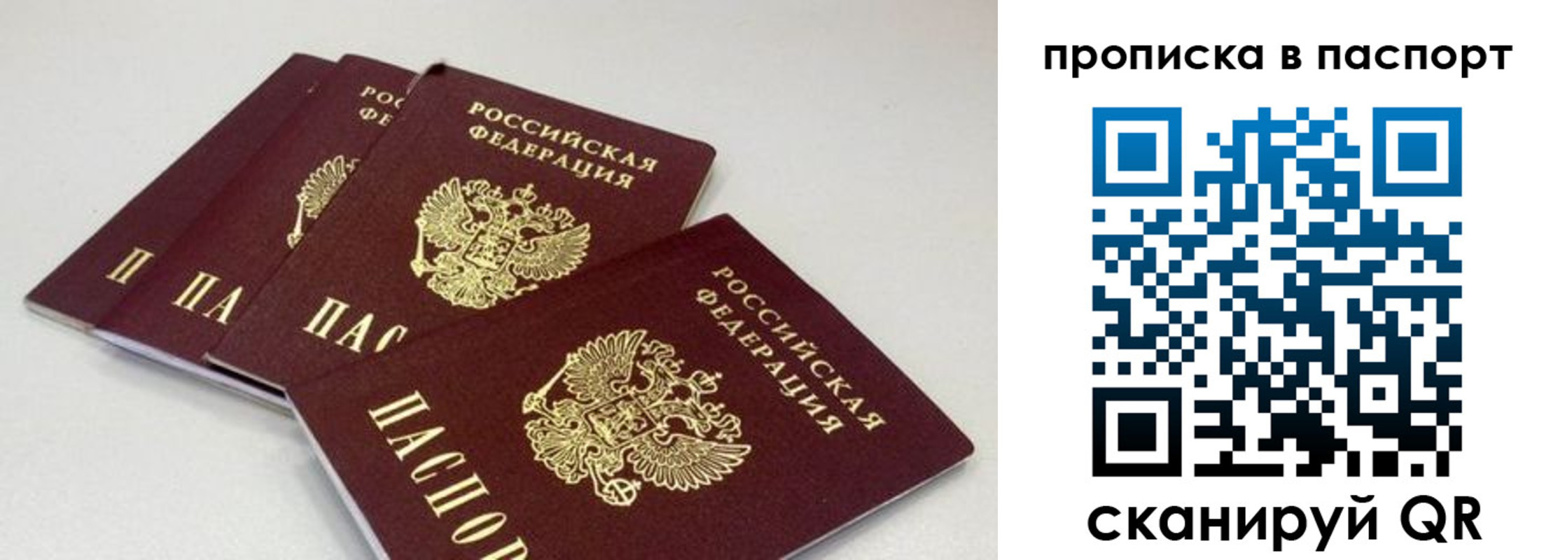 найти адрес прописки в Вельске